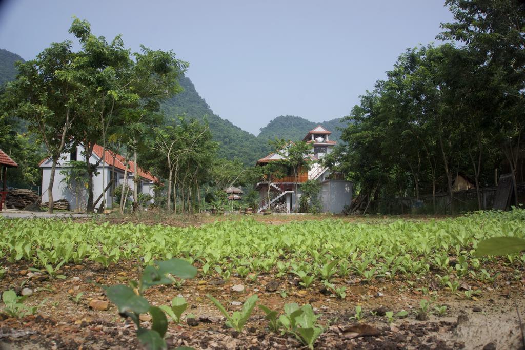 Ho Khanh'S Homestay Phong Nha Extérieur photo