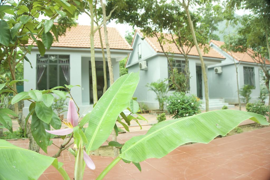 Ho Khanh'S Homestay Phong Nha Extérieur photo
