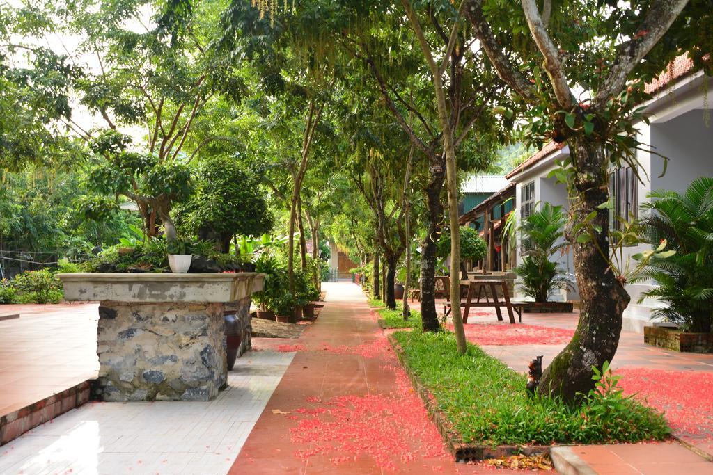 Ho Khanh'S Homestay Phong Nha Extérieur photo